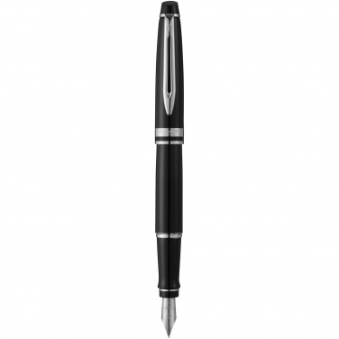 Logo trade promotional giveaways picture of: Waterman Expert fountain pen