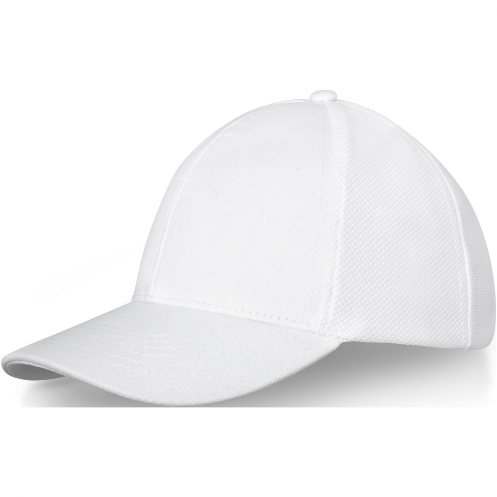 Logotrade corporate gift picture of: Drake 6 panel trucker cap