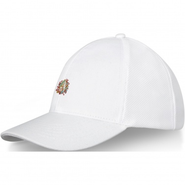 Logo trade advertising product photo of: Drake 6 panel trucker cap