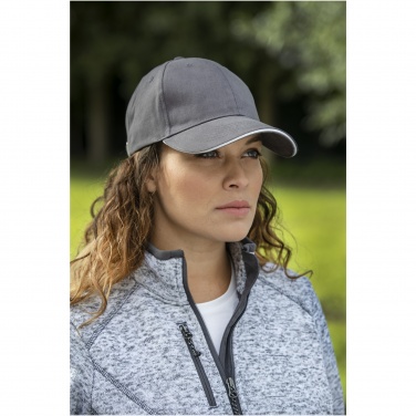 Logo trade promotional merchandise image of: Darton 6 panel sandwich cap
