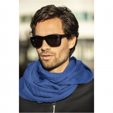 Logo trade promotional giveaways picture of: Eiger polarized sunglasses in recycled PET casing