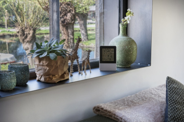 Logotrade promotional gift picture of: Indoor/outdoor weather station