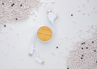 Logotrade promotional merchandise picture of: RCS recycled plastic Ontario 6-in-1 retractable cable