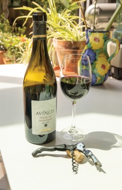 Logo trade business gift photo of: Vino Waiters corkscrew
