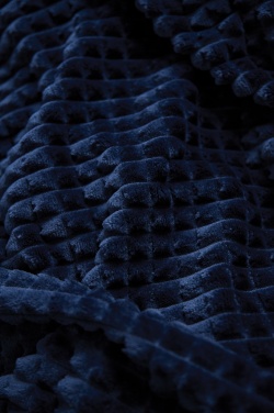 Logotrade promotional giveaway picture of: VINGA Branson GRS rpet blanket