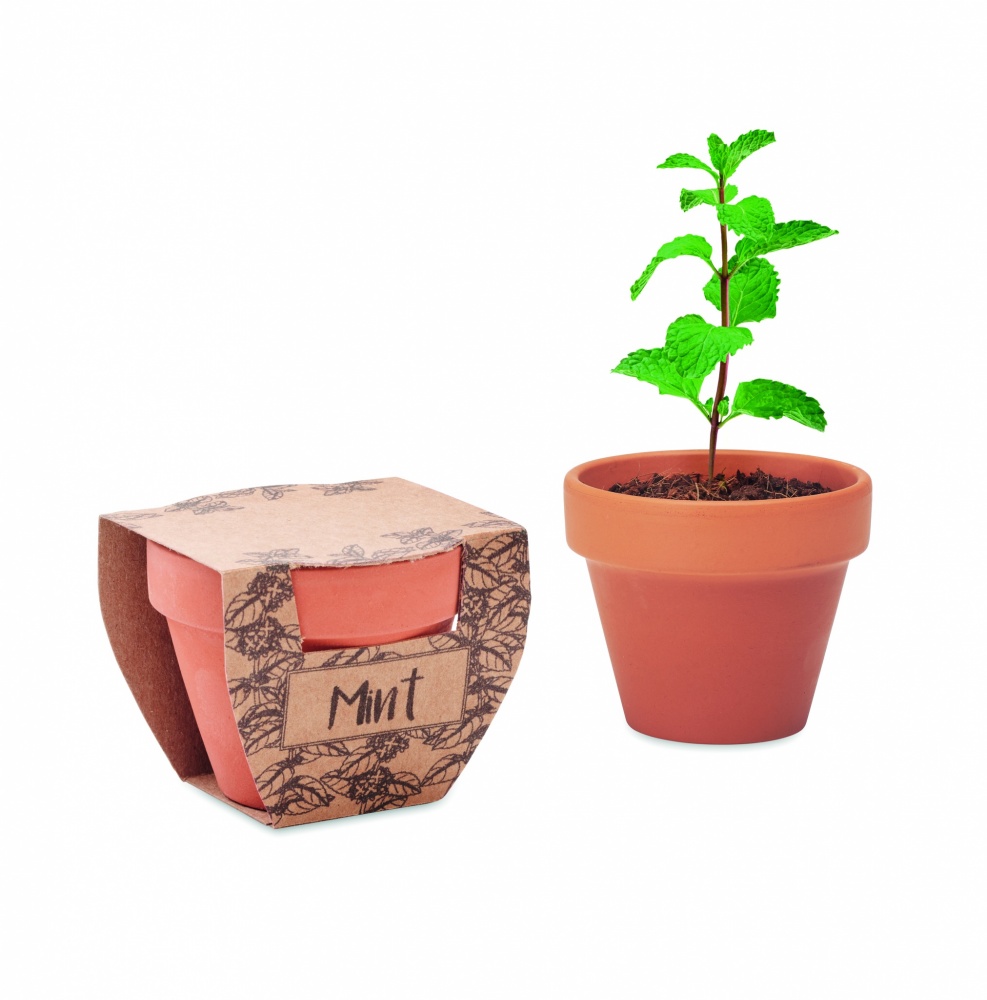 Logo trade advertising products image of: Terracotta pot mint seeds