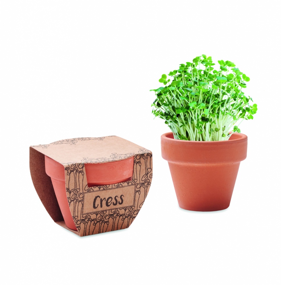 Logo trade promotional merchandise photo of: Terracotta pot cress seeds