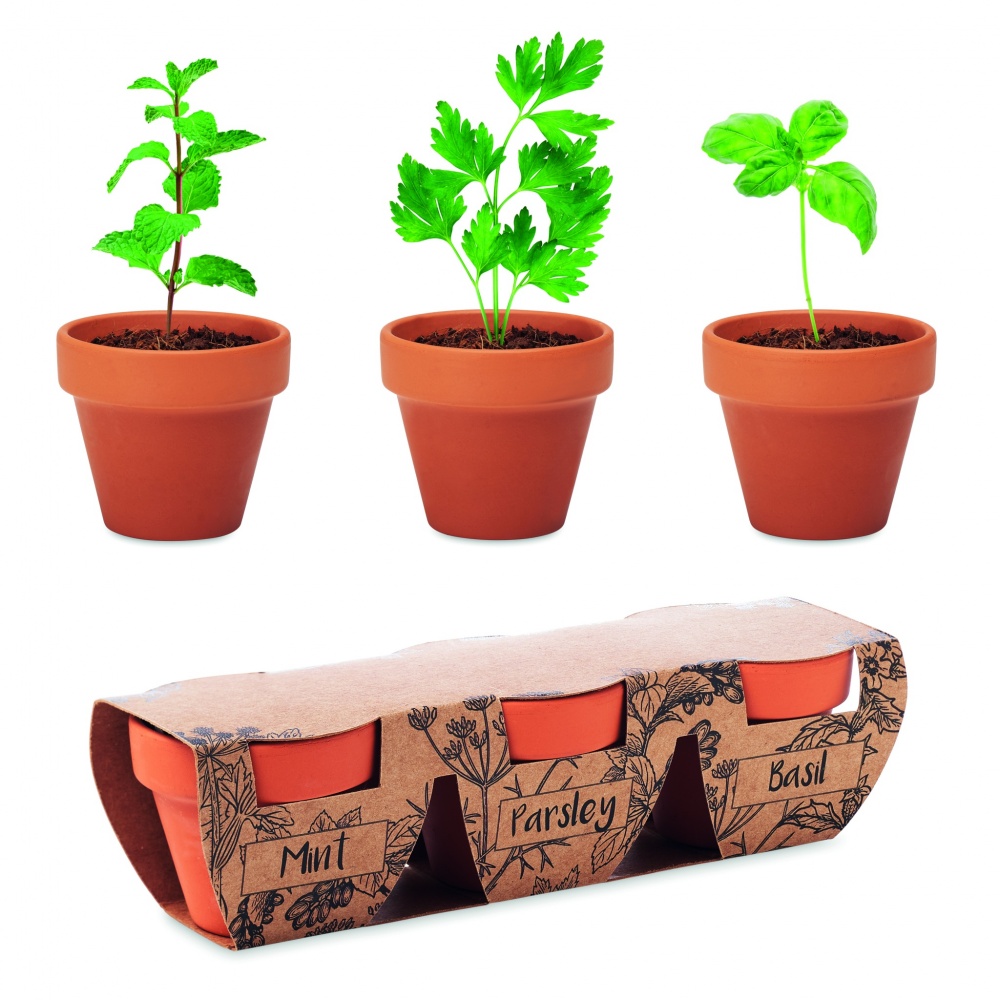 Logotrade advertising products photo of: Terracotta 3 herb pot set