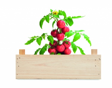 Logotrade promotional gifts photo of: Tomato kit in wooden crate