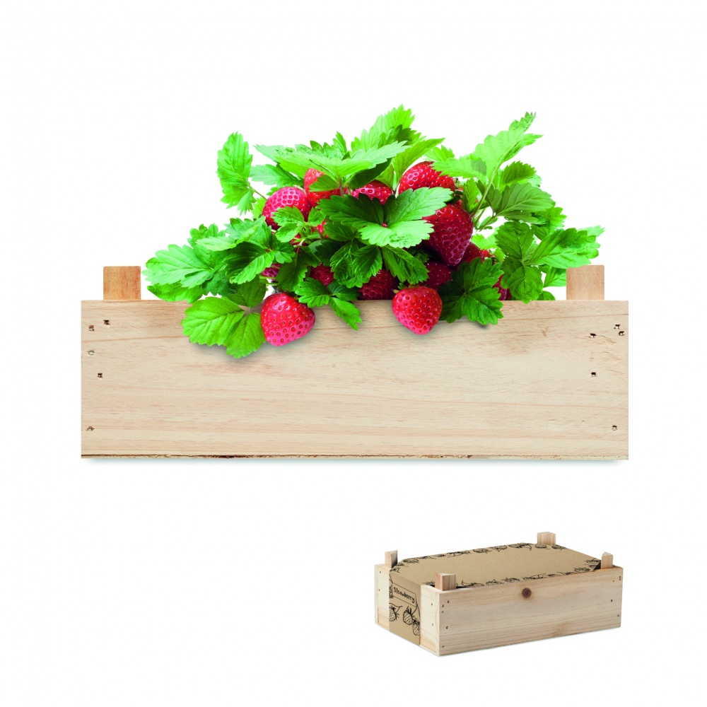 Logo trade promotional merchandise image of: Strawberry kit in wooden crate