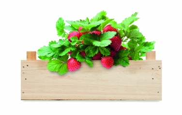 Logotrade promotional merchandise image of: Strawberry kit in wooden crate