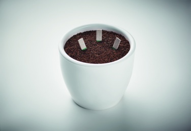 Logo trade promotional giveaways image of: Herb seeds sticks