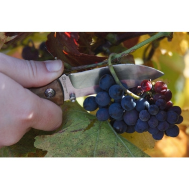 Logo trade promotional products picture of: Pocket knife JUNGLE Schwarzwolf