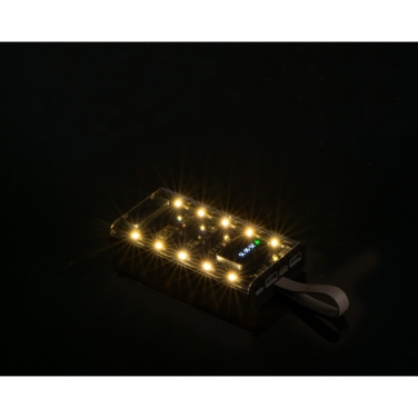 Logotrade promotional products photo of: Power bank 10 000 mAh DARWIN