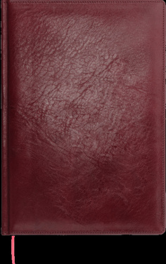 Logotrade promotional merchandise photo of: Calendar 645131