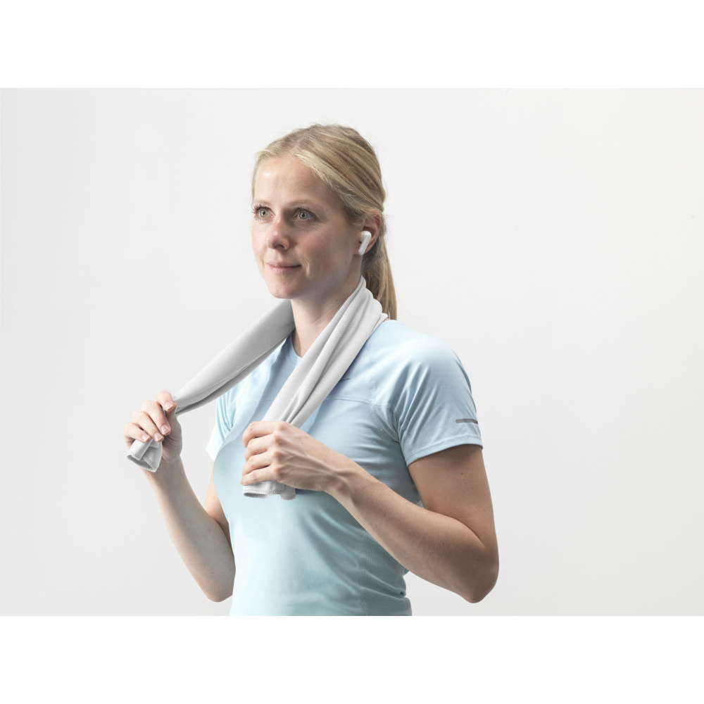 Logotrade promotional giveaway image of: CoolDown RPET sports cooling towel