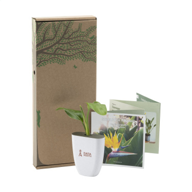 Logotrade promotional item image of: Treemore Letterbox Trees Bird of Paradise plant