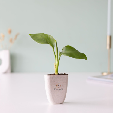 Logotrade promotional merchandise photo of: Treemore Letterbox Trees Bird of Paradise plant