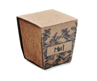 Logotrade promotional giveaway image of: Mint seeds growing kit