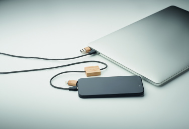 Logotrade promotional gift image of: 60W charging cable