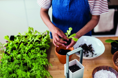 Logo trade promotional merchandise photo of: Indoor garden with LED light