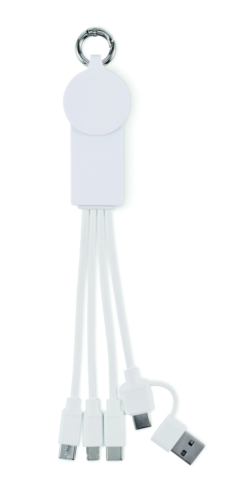 Logo trade promotional products picture of: 2 in 1 charging cable type-C