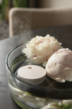 Logo trade promotional items image of: Breevia RCS rplasic re-chargeable floating humidifier