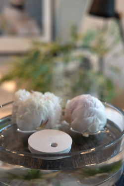 Logo trade advertising products image of: Breevia RCS rplasic re-chargeable floating humidifier