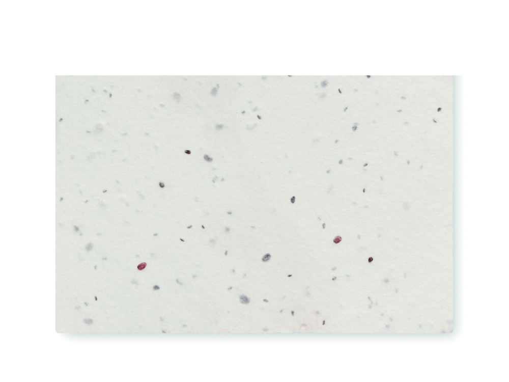 Logo trade promotional products image of: Wildflower seed business card.