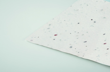 Logotrade promotional item picture of: Wildflower seed business card.