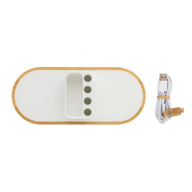 Logotrade firmakingituse foto: Ontario RCS rplastic 10W topeltjuhtmevaba