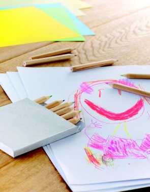 Logo trade reklaamkingi pilt: 12 värvilise pliiatsi komplekti