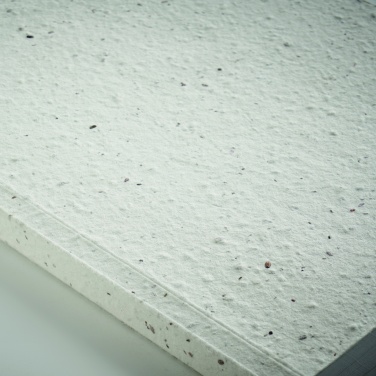 Logo trade ärikingitused foto: A5 seemnepaberist kaanega märkmik