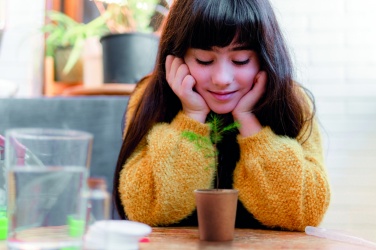 Logotrade reklaamkingi foto: Männipuu komplekt