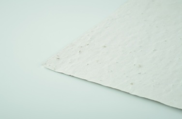 Logo trade ärikingid foto: A5 metsalilleseemne paberileht