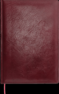 Logotrade liikelahjat kuva: Kalenteri 642131