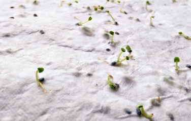 Логотрейд pекламные подарки картинка: Набор бумажных браслетов, A5